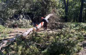 Farm Cleanup and Chainsaw Safety